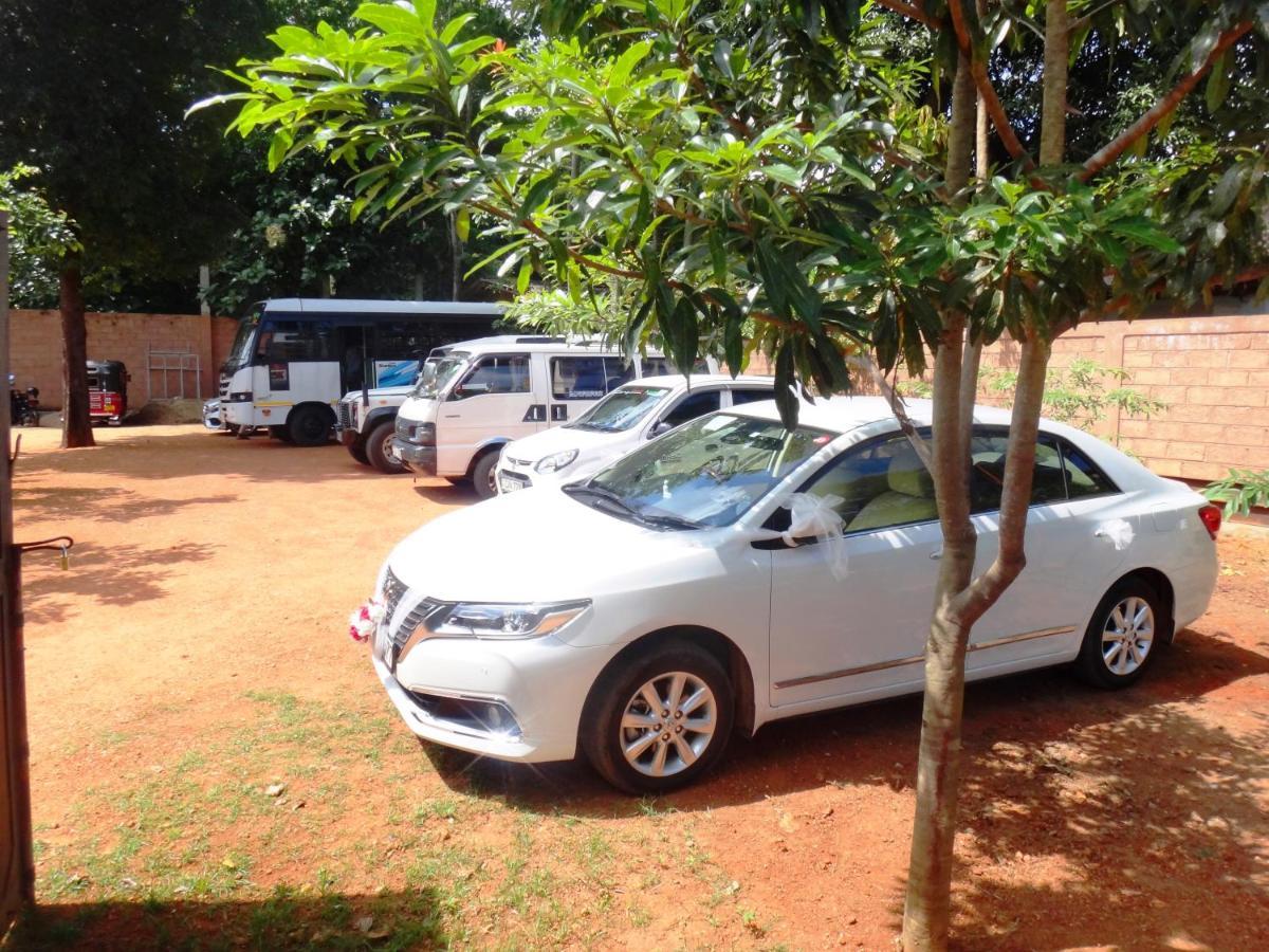 Honey Tree Polonnaruwa Hotel Kültér fotó